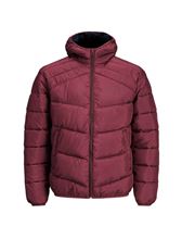 کاپشن زمستانه